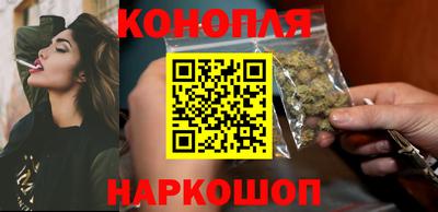 сатива Лесосибирск