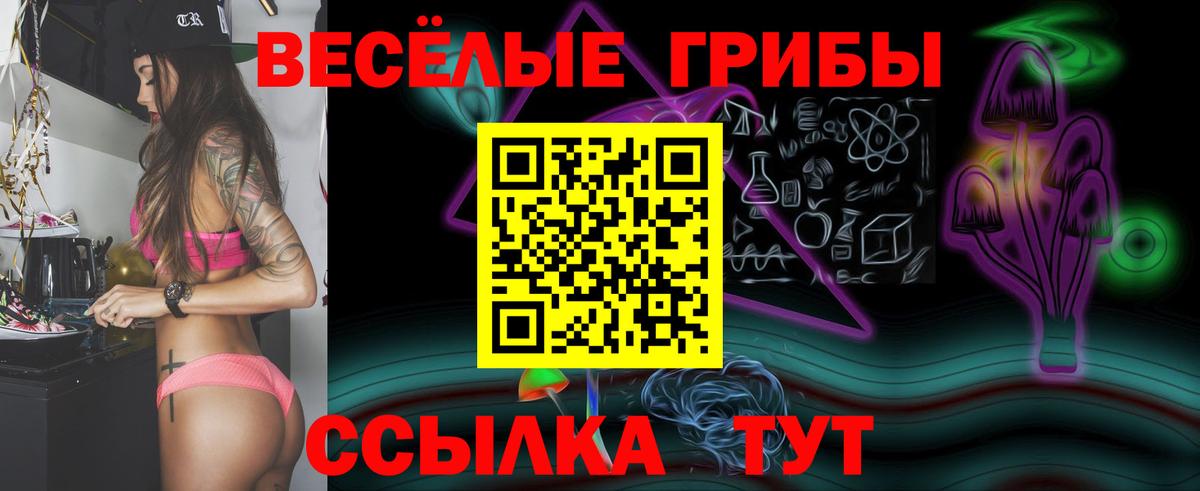 Псилоцибиновые грибы Psilocybine cubensis  Вход с VPN  где найти   Зеленогорск  Псилоцибиновые грибы Psilocybine cubensis 